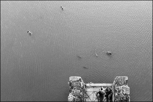 A-053. 3 Ducks, 3 Fish, 3 People From Above - by Greig Clifford