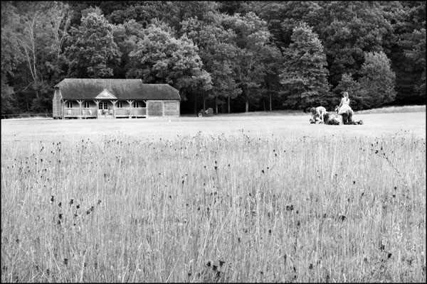 B-015. To the Pavilion - by Greig Clifford