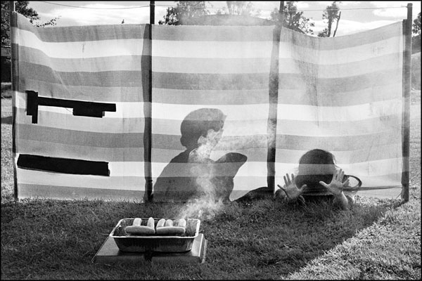 B-026. Sausage Stealers - by Greig Clifford