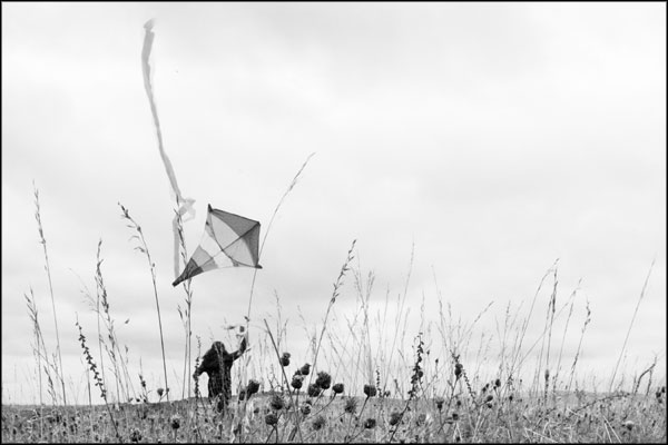B-059. Kite (5) - by Greig Clifford B-059. Kite (5) - by Greig Clifford