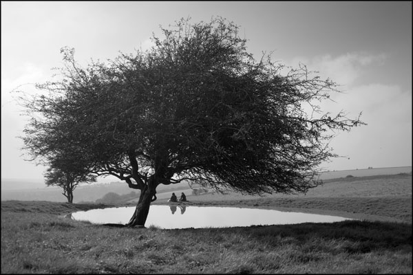 B-063. At the Dew Pond - by Greig Clifford B-063. At the Dew Pond - by Greig Clifford