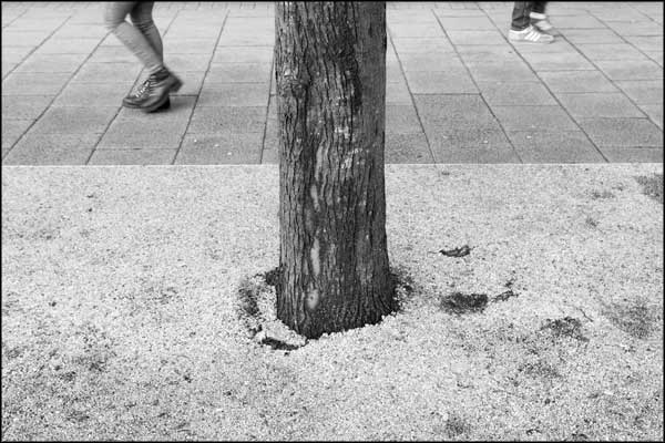 B-082. Concrete Earth - by Greig Clifford
