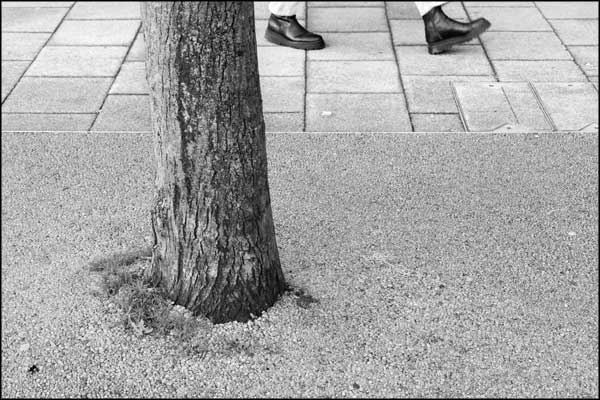 B-083. Concrete Earth (2) - by Greig Clifford