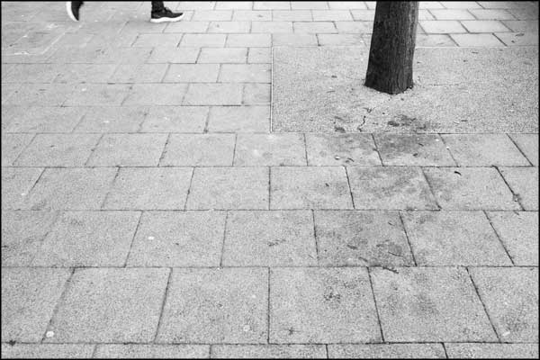 B-084. Concrete Earth (3) - by Greig Clifford B-084. Concrete Earth (3) - by Greig Clifford