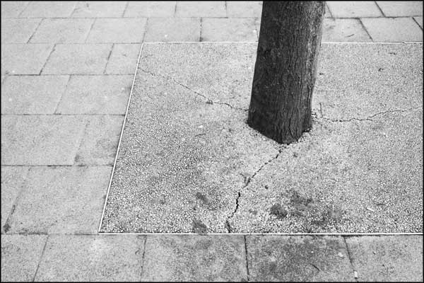 B-085. Concrete Earth (4) - by Greig Clifford B-085. Concrete Earth (4) - by Greig Clifford