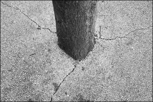 B-086. Concrete Earth (5) - by Greig Clifford