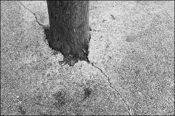 B-087. Concrete Earth (6) - by Greig Clifford