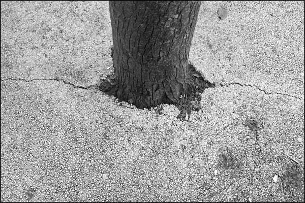 B-088. Concrete Earth (7) - by Greig Clifford