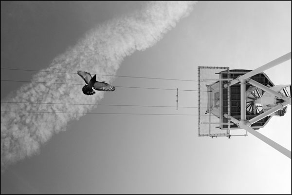 C-011. Fly By Wire - by Greig Clifford
