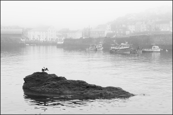 B-003. Misty Morning at Mevagissey - by Greig Clifford