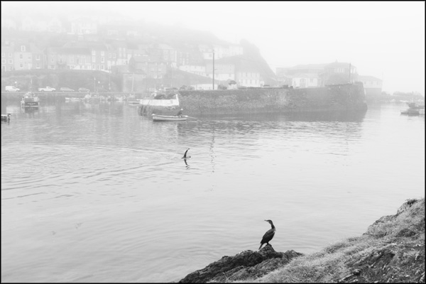 B-004. Misty Morning at Mevagissey (2) - by Greig Clifford