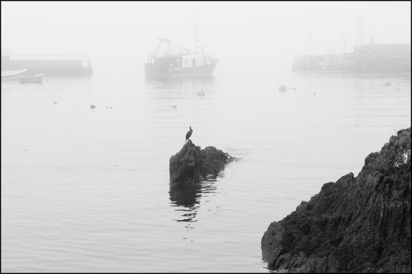 B-005. Misty Morning at Mevagissey (3) - by Greig Clifford