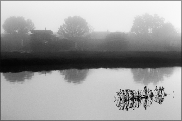 Prints available! B-023. Houseboats in the mist (7) - by Greig Clifford