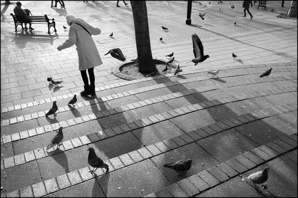 B-094. Concrete Earth, People and Pigeons - by Greig Clifford