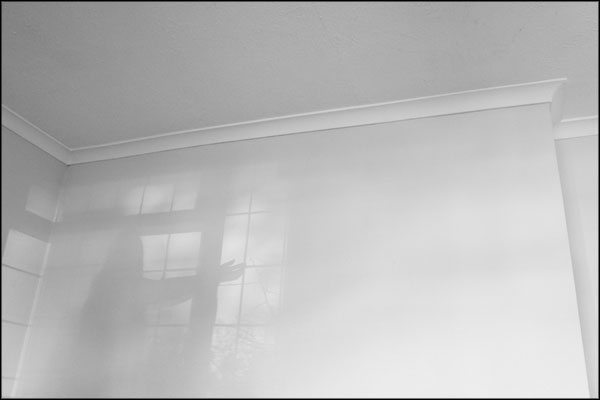 C-004. Shadows on the living room wall - by Greig Clifford C-004. Shadows on the living room wall - by Greig Clifford