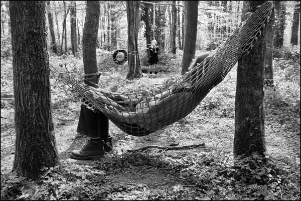 C-009. A Hammock and a Swing in a Forest of Things - by Greig Clifford